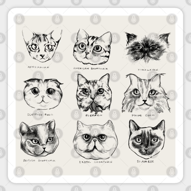 Cat Breeds of the Universe Magnet by sketchboy01